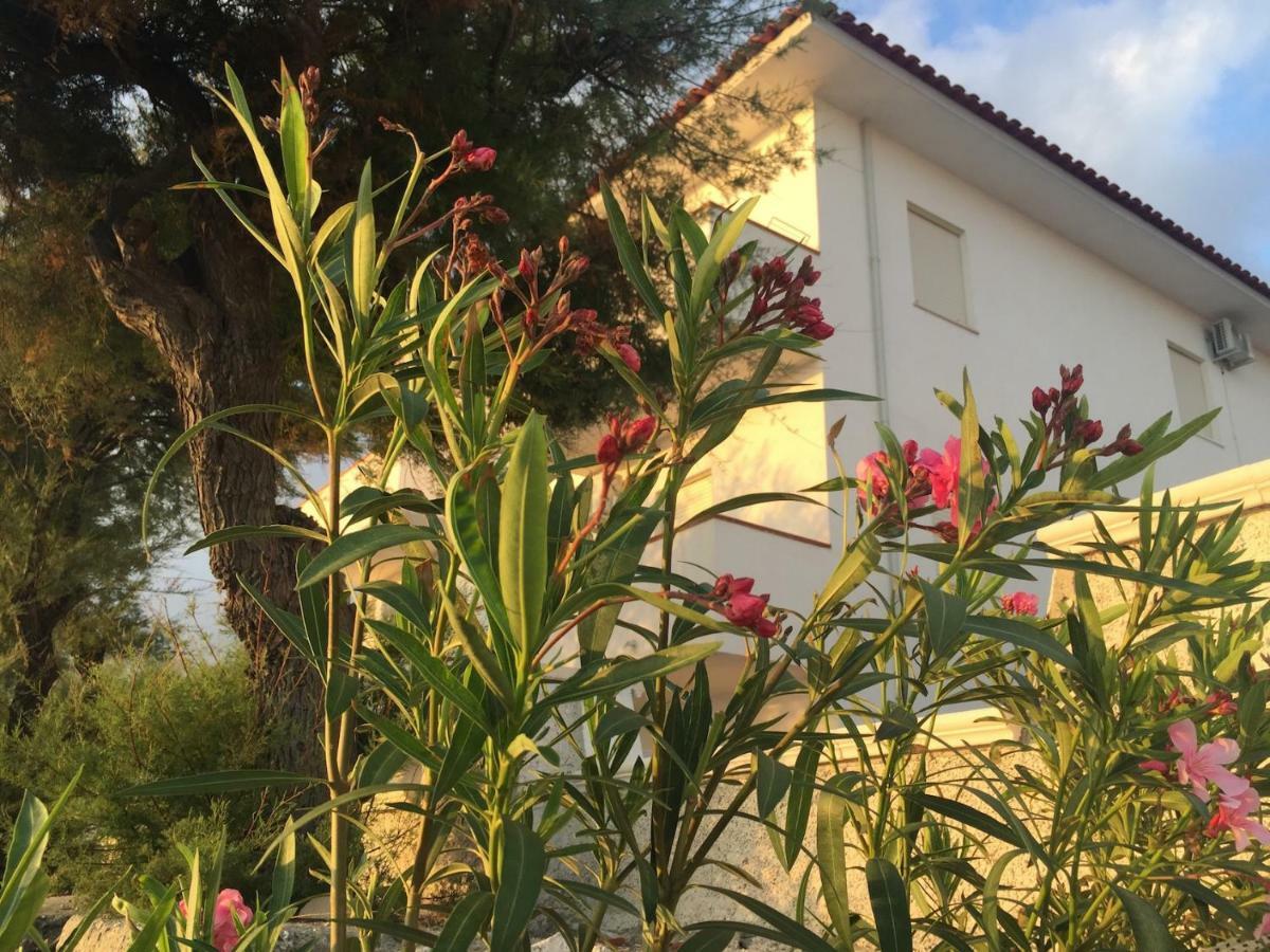 Rivamare Campora Casa Vacanze Campora San Giovanni Exterior foto